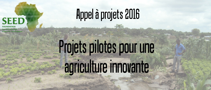 seed fondation