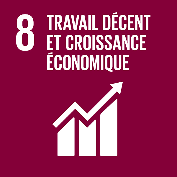 08 Travail décent croissance économique