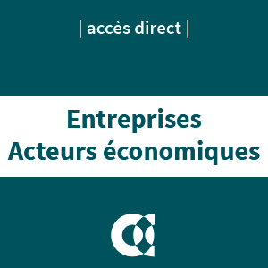 Entreprises acteurs économiques