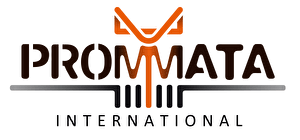 Prommata International