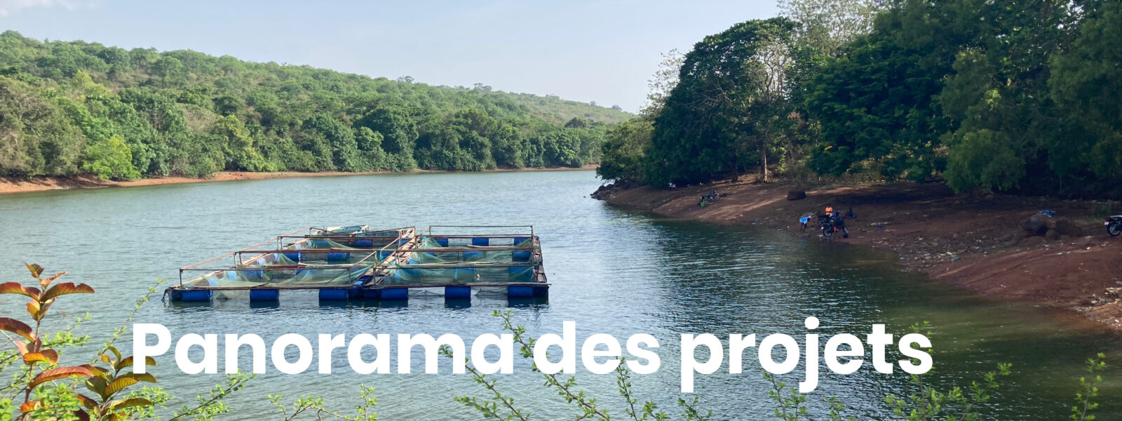 Panorama des projets