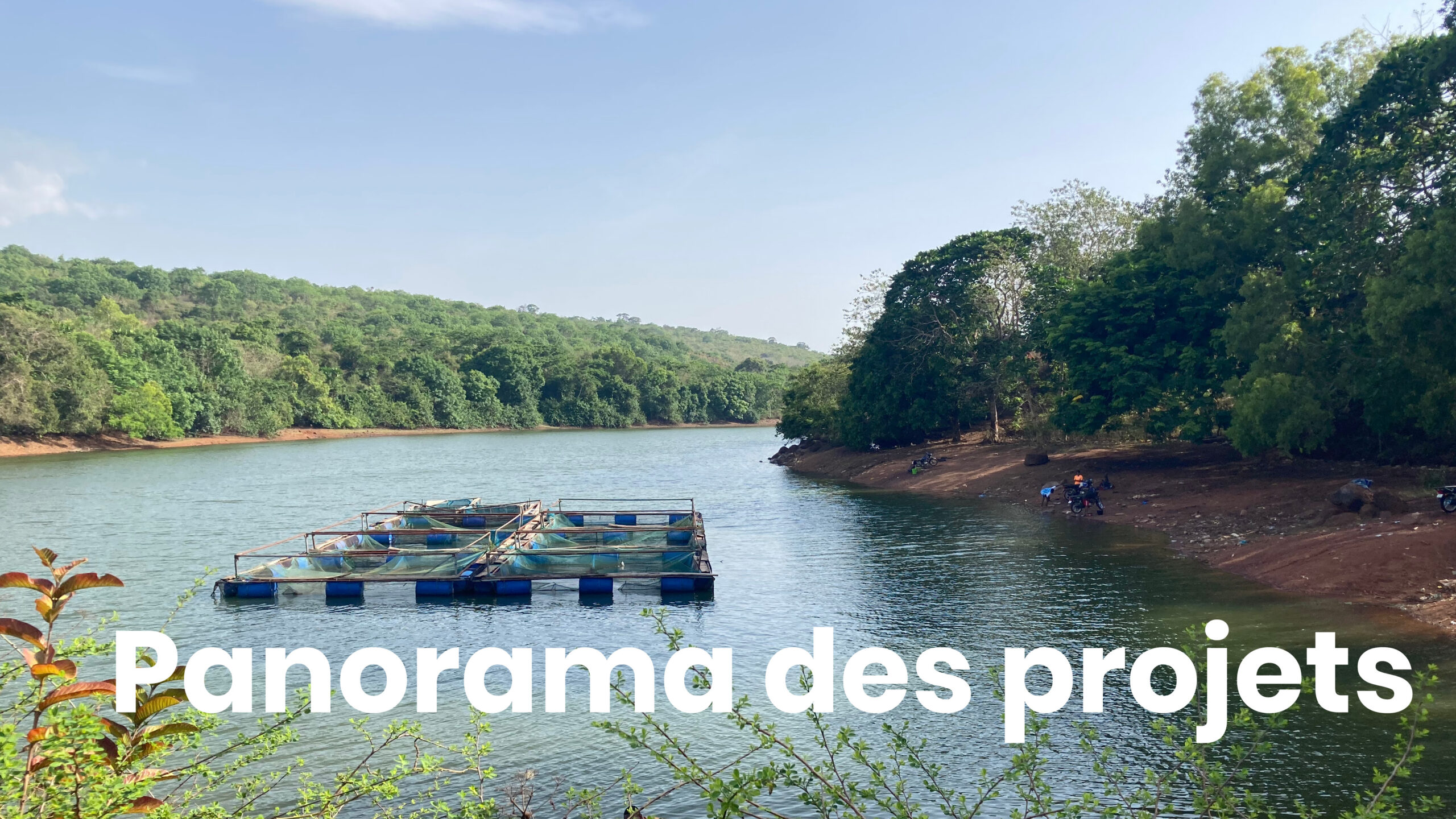 Panorama des projets